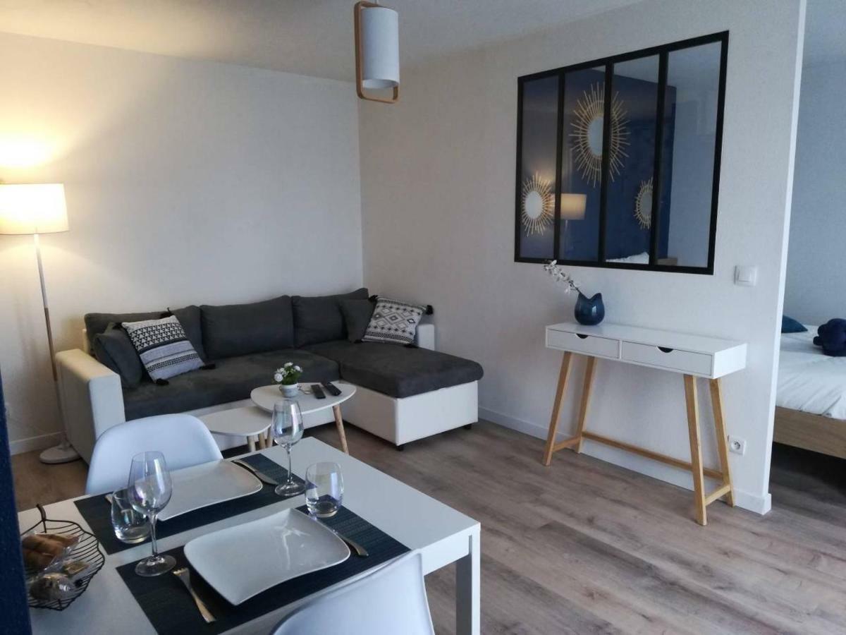 Appartement Cosy Proche Meteo France Et Airbus Toulouse Buitenkant foto