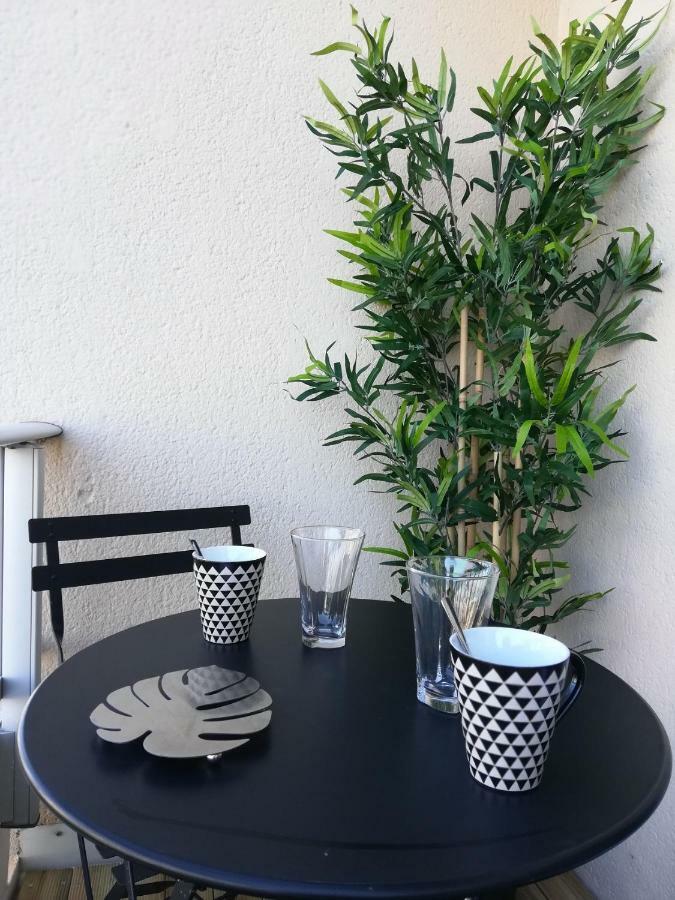 Appartement Cosy Proche Meteo France Et Airbus Toulouse Buitenkant foto